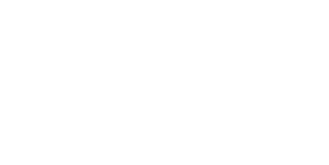 Tom Ham's airport logo
